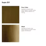 https://www.tintadlaplastykow.pl/gfx/photos/offer_19152219/tusz-akrylowy-daler-rowney-fw-ink-30-ml-251-sepia_2_1596506559085213.webp