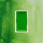 https://www.tintadlaplastykow.pl/gfx/photos/offer_19475473/farba-akwarelowa-kuretake-gansai-tambi-051-sap-green-light_2_1297997777094122.webp