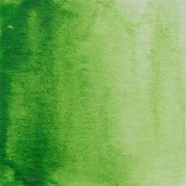 https://www.tintadlaplastykow.pl/gfx/photos/offer_19475473/farba-akwarelowa-kuretake-gansai-tambi-051-sap-green-light_2_1708492125094140.webp