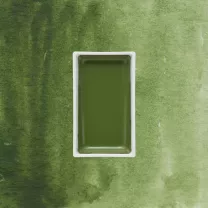 Farba Akwarelowa Kuretake Gansai Tambi 054 Olive Green