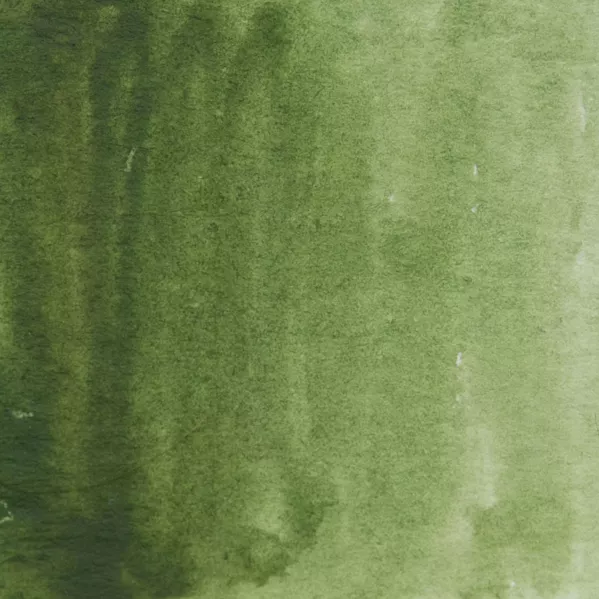 https://www.tintadlaplastykow.pl/gfx/photos/offer_19475476/farba-akwarelowa-kuretake-gansai-tambi-054-olive-green_2_1471020828102621.webp