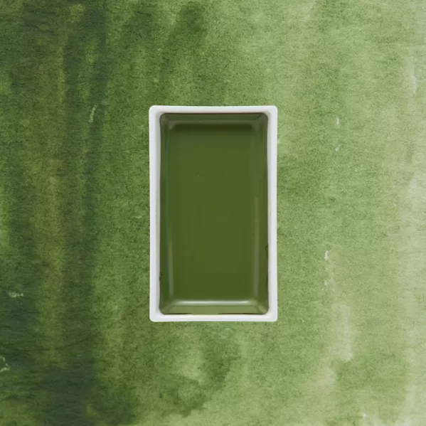 https://www.tintadlaplastykow.pl/gfx/photos/offer_19475476/farba-akwarelowa-kuretake-gansai-tambi-054-olive-green_2_85402969102605.webp