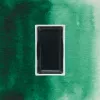 Farba Akwarelowa Kuretake Gansai Tambi 056 Forest Green