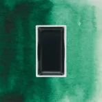 https://www.tintadlaplastykow.pl/gfx/photos/offer_19475478/farba-akwarelowa-kuretake-gansai-tambi-056-forest-green_2_422209689091625.webp