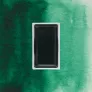 Farba Akwarelowa Kuretake Gansai Tambi 056 Forest Green