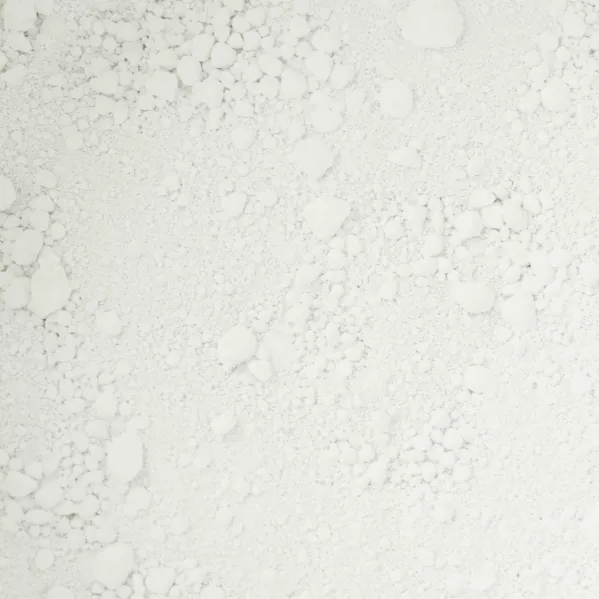 https://www.tintadlaplastykow.pl/gfx/photos/offer_20052819/pigment-kremer-75-g-46210-biel-tytanowa_2_1962413349100100.webp