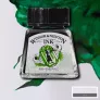 Tusz Winsor & Newton Drawing Ink 14 ml 235 Emerald