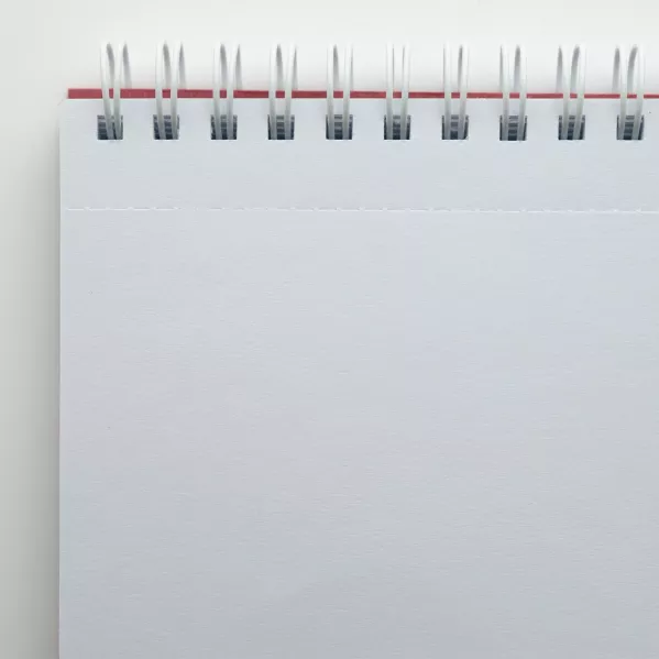 https://www.tintadlaplastykow.pl/gfx/photos/offer_21761855/blok-do-rysowania-smlt-art-drawing-pad-120-gsm-60-ark-drzewo-a4-spirala-pb60ts_2_1119336352154805.webp