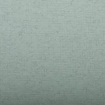 Papier Clairefontaine Ingres 130 gsm 50 x 65 cm Aqua Green 93499C