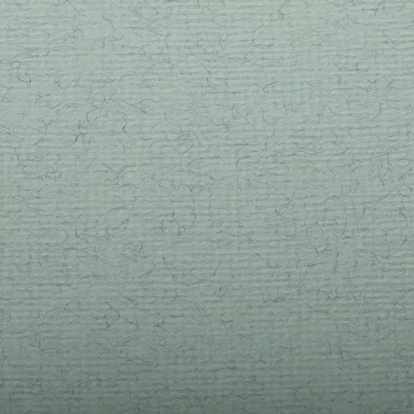 https://www.tintadlaplastykow.pl/gfx/photos/offer_22322210/papier-clairefontaine-ingres-130-gsm-50-x-65-cm-aqua-green-93499c_2_359617949173500.webp