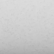 Papier Clairefontaine Ingres 130 gsm 50 x 65 cm Pale Grey 93500C