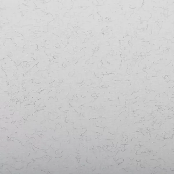 https://www.tintadlaplastykow.pl/gfx/photos/offer_22322211/papier-clairefontaine-ingres-130-gsm-50-x-65-cm-pale-grey-93500c_2_902431053173713.webp