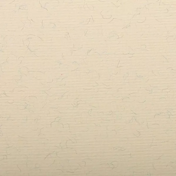https://www.tintadlaplastykow.pl/gfx/photos/offer_22322213/papier-clairefontaine-ingres-130-gsm-50-x-65-cm-marbled-cream-93502c1_2_391927538174008.webp