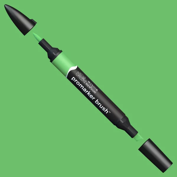 https://www.tintadlaplastykow.pl/gfx/photos/offer_2596725/promarker-brush-winsor-amp-newton-grass-g457_2_416099139155254.webp