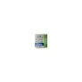 Farba Akwarelowa Winsor & Newton Cotman Half Pan 599 Sap Green