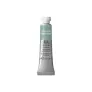 Farba Akwarelowa Winsor & Newton Professional Water Colour 5 ml S.1 637 Terre Verte