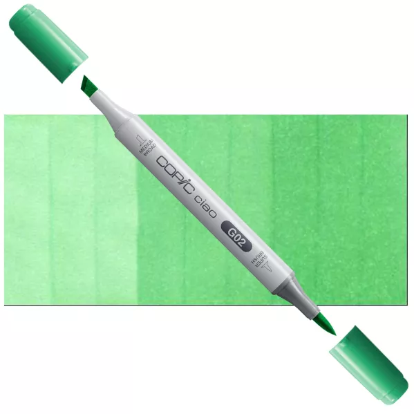 https://www.tintadlaplastykow.pl/gfx/photos/offer_3634300/marker-copic-ciao-g02-spectrum-green_2_350059679202858.webp