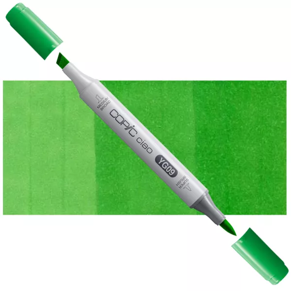 https://www.tintadlaplastykow.pl/gfx/photos/offer_3634376/marker-copic-ciao-yg09-lettuce-green_2_2008203684202411.webp
