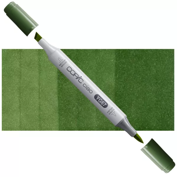 https://www.tintadlaplastykow.pl/gfx/photos/offer_3634382/marker-copic-ciao-yg67-moss_2_193663912202523.webp