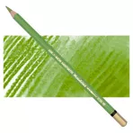 https://www.tintadlaplastykow.pl/gfx/photos/offer_36986634/kredka-akwarelowa-kohinoor-mondeluz-62-apple-green_2_1201684256112238.webp