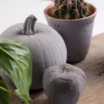 https://www.tintadlaplastykow.pl/gfx/photos/offer_38629531/pasta-strukturalna-schjerning-beton-colour-250-ml-7648-light-slate_2_551167671121445.webp