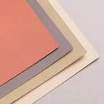 https://www.tintadlaplastykow.pl/gfx/photos/offer_43140647/papier-do-pasteli-clairefontaine-pastelmat-ndeg2-360-gsm-18-x-24-cm-96005c_2_719189059182348.webp