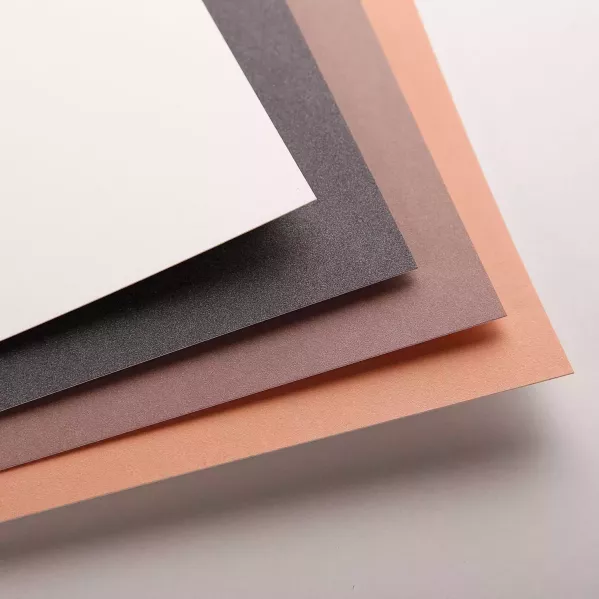 https://www.tintadlaplastykow.pl/gfx/photos/offer_43140649/papier-do-pasteli-clairefontaine-pastelmat-ndeg2-360-gsm-24-x-30-cm-96007c_2_482252792180622.webp