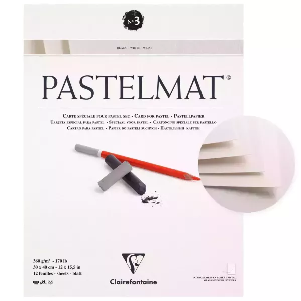 https://www.tintadlaplastykow.pl/gfx/photos/offer_43140657/papier-do-pasteli-clairefontaine-pastelmat-ndeg3-360-gsm-30-x-40-cm-96029c_3_783013164172041.webp
