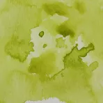 https://www.tintadlaplastykow.pl/gfx/photos/offer_44906621/farba-akwarelowa-kuretake-gansai-tambi-048-greenish-yellow_2_2030782463102024.webp