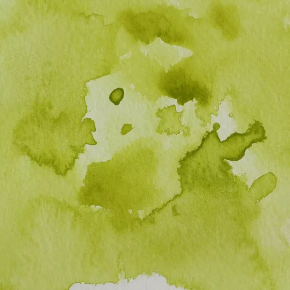 https://www.tintadlaplastykow.pl/gfx/photos/offer_44906621/farba-akwarelowa-kuretake-gansai-tambi-048-greenish-yellow_2_2030782463102024.webp
