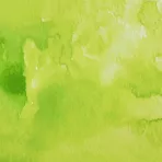 https://www.tintadlaplastykow.pl/gfx/photos/offer_44906622/farba-akwarelowa-kuretake-gansai-tambi-059-lime-green_2_48239669100131.webp