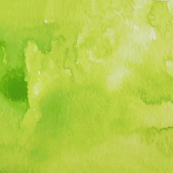 https://www.tintadlaplastykow.pl/gfx/photos/offer_44906622/farba-akwarelowa-kuretake-gansai-tambi-059-lime-green_2_48239669100131.webp