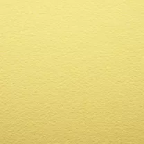 Papier Prisma Favini B1 220 gsm Girasole - Yellow 1