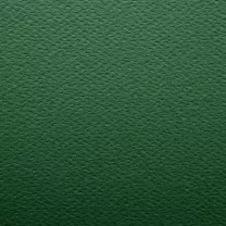 Papier Prisma Favini B1 220 gsm Pino - Pine 20