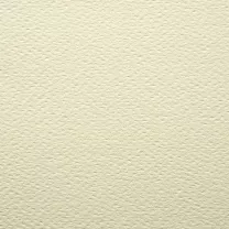 Papier Prisma Favini B2 220 gsm Avorio - Ivory 11