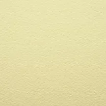 Papier Prisma Favini B2 220 gsm Camoscio - Chamois 12