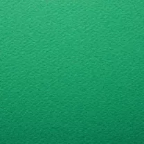 Papier Prisma Favini B2 220 gsm Verde - Green 17