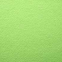 Papier Prisma Favini B2 220 gsm Pistacchio 18