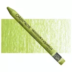 https://www.tintadlaplastykow.pl/gfx/photos/offer_48493518/pastela-caran-d039ache-neocolor-ii-aquarelle-245-light-olive_2_722218533144643.webp