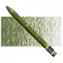 Pastela Caran d'Ache Neocolor II Aquarelle 249 Olive