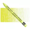 Pastela Caran d'Ache Neocolor II Aquarelle 730 Chinese Green