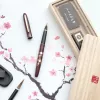 Brush Pen Kuretake Mannen Mouhitsu Maki-e Monogatari Edazakura DU181-215