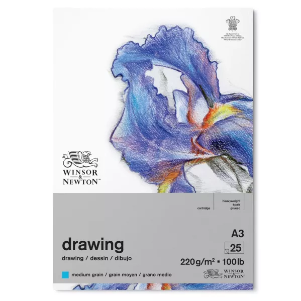 https://www.tintadlaplastykow.pl/gfx/photos/offer_53745227/blok-do-rysowania-winsor-amp-newton-drawing-heavyweight-220-gsm-medium-grain-a3-6689748_3_1583939983150855.webp