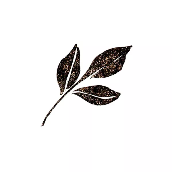 https://www.tintadlaplastykow.pl/gfx/photos/offer_54209621/brush-pen-kuretake-wink-of-stella-brush-ii-010-glitter-black-ms56010_3_1993967758080949.webp