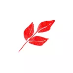 https://www.tintadlaplastykow.pl/gfx/photos/offer_54209622/brush-pen-kuretake-wink-of-stella-brush-ii-020-glitter-red-ms56020_3_1367181662081703.webp
