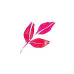 https://www.tintadlaplastykow.pl/gfx/photos/offer_54209623/brush-pen-kuretake-wink-of-stella-brush-ii-021-glitter-pink-ms56021_3_698388986082345.webp