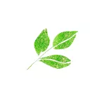 https://www.tintadlaplastykow.pl/gfx/photos/offer_54209626/brush-pen-kuretake-wink-of-stella-brush-ii-040-glitter-green-ms56040_2_1748532138084333.webp