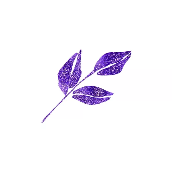 https://www.tintadlaplastykow.pl/gfx/photos/offer_54209627/brush-pen-kuretake-wink-of-stella-brush-ii-080-glitter-violet-ms56080_2_1001110502084723.webp
