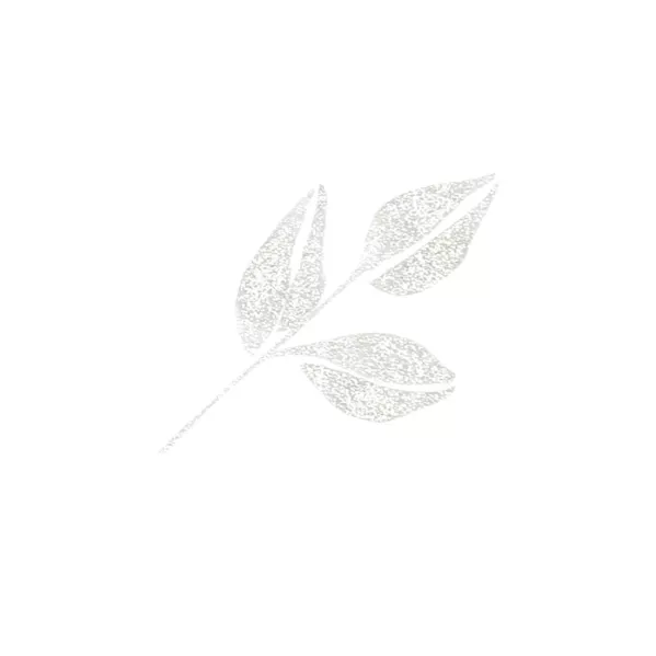 https://www.tintadlaplastykow.pl/gfx/photos/offer_54209629/brush-pen-kuretake-wink-of-stella-brush-ii-999-glitter-clear-ms56999_3_32317254090114.webp