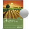 Blok Gamma Fabriano Accademia 32,5 x 45 cm 200 gsm 20 ark. A2003245k20